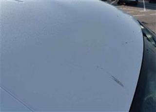 VOLKSWAGEN 2.0 TDI 55KW KOMBI BMT (75CV) BUSIN - 3459-KTX
